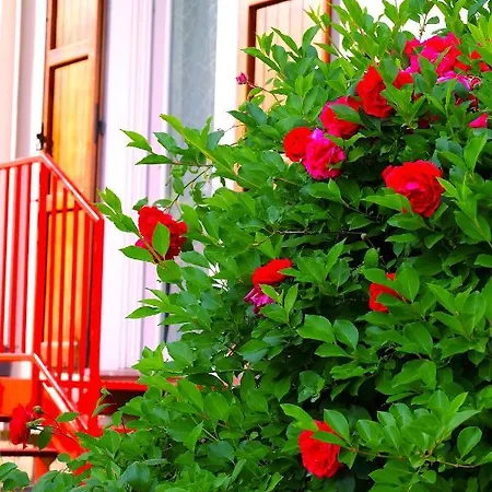Bed & Breakfast Aria Di Casa *
