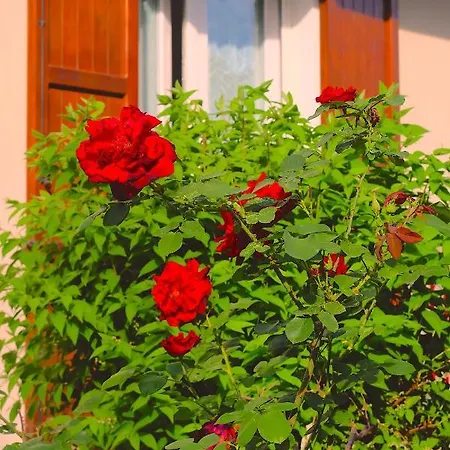 Bed & Breakfast Aria Di Casa *