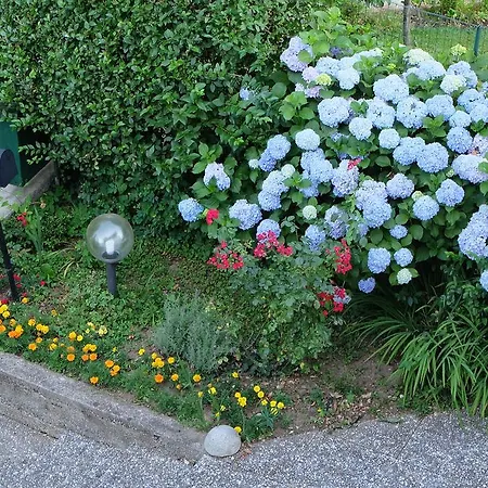 Aria Di Casa Bed & Breakfast *